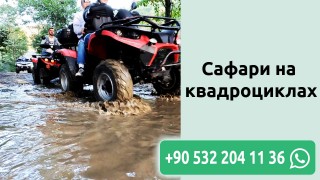Сафари на квадроциклах